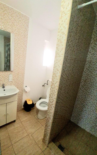 Bathroom, Casa Ostrov, Calimanesti