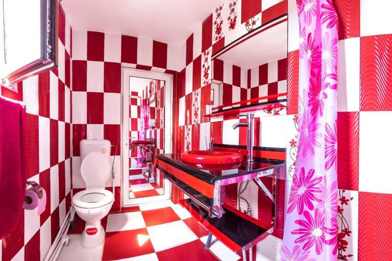Bathroom 2, Pensiunea Mariana, Baia De Fier