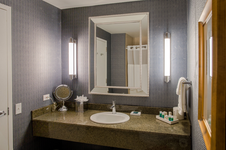 Bathroom 5, Kinzie Hotel, Cook