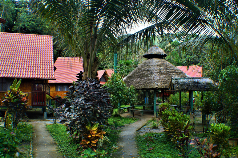 Others, YACUMA ECOLODGE, Tena