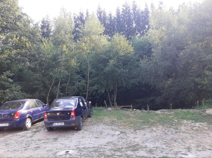 Others 4, Casa Denisa Vidraru transfgarasan, Capatanenii Pamanteni