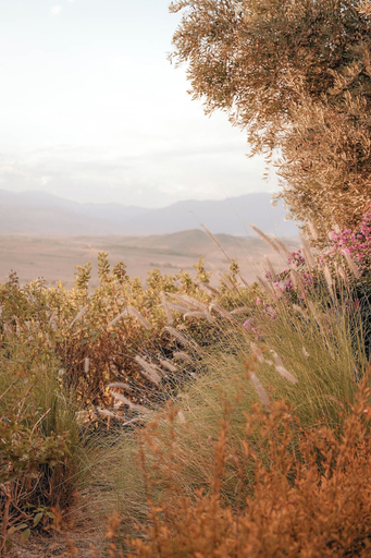Others 5, KASBAH D'IF, Al Haouz