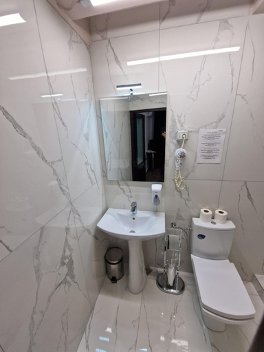 Bathroom 3, PENSIUNEA ADA, Bascov