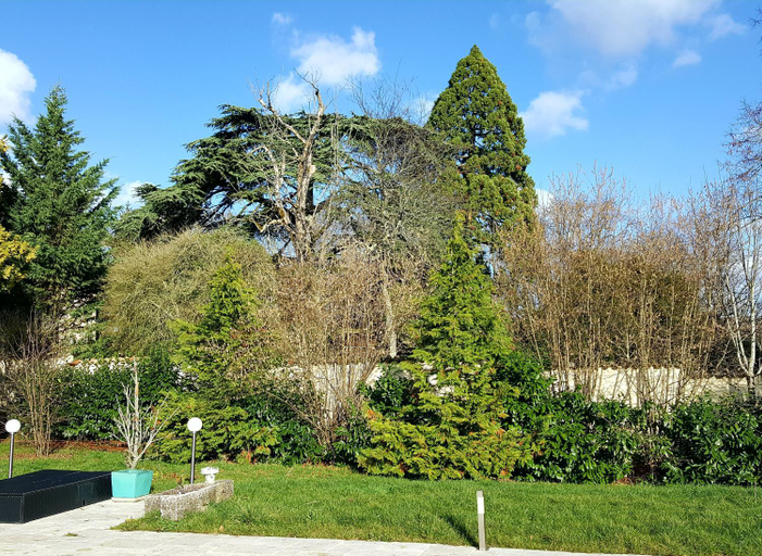 Scenery 6