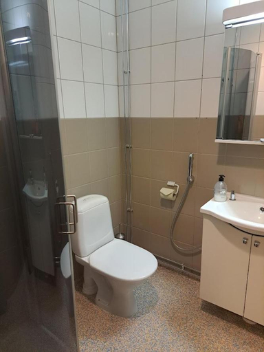 Bathroom 3, Hotelli Karsamaki, Northern Ostrobothnia