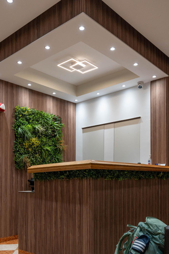 Public Area 3, Angelina Hotel & Apartments, Ionian Islands