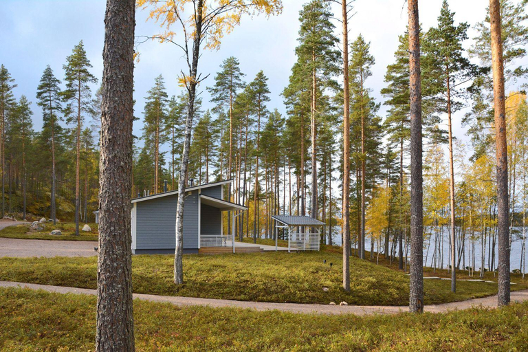 Others 3, ONNI Village, South Karelia