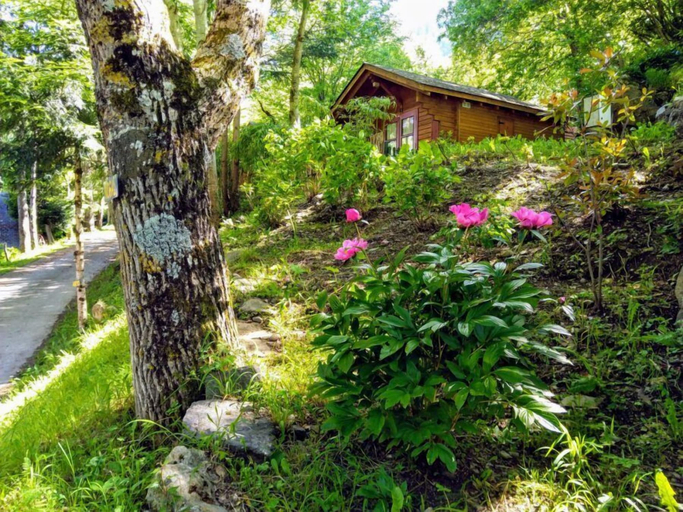 Others 5, Camping Bedura, Lleida