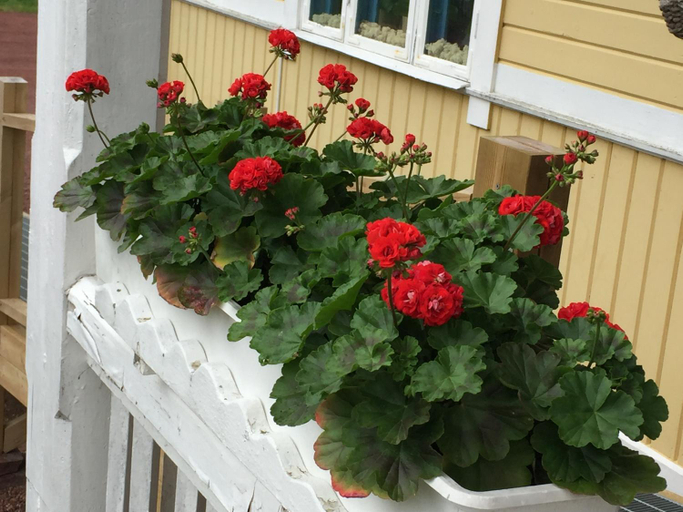 Others 3, STF Tre Bjornar B&B, Älvdalen