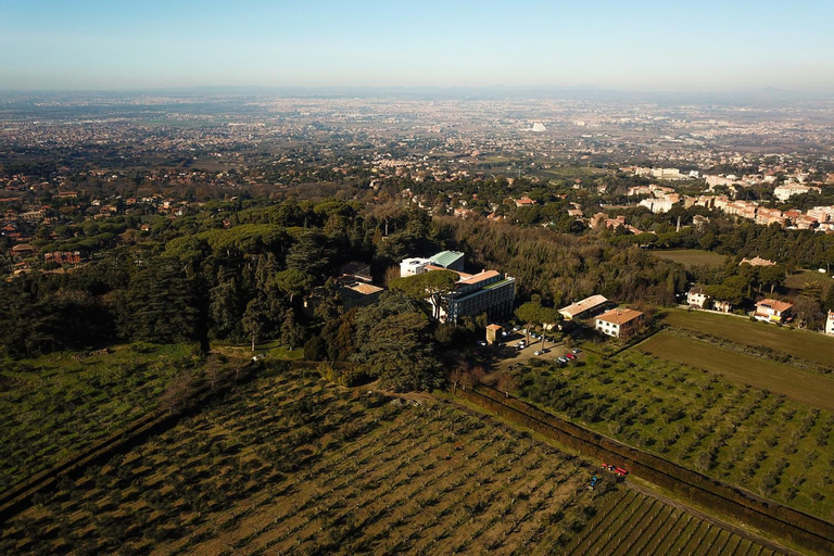 Villa Cavalletti Appartamenti, Rome