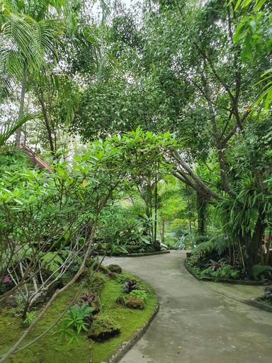 Exterior & Views 2, บ้านสวนภูรจิตร Baansuanphurajit, San Sai