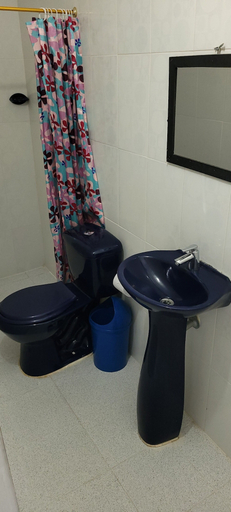 Bathroom 4, HOSTAL VILLA DEL RIO LAS BRISAS, Villavieja