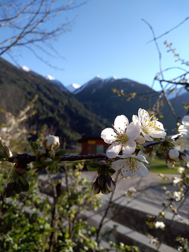 Others 2, Oberrollerhof, Lienz