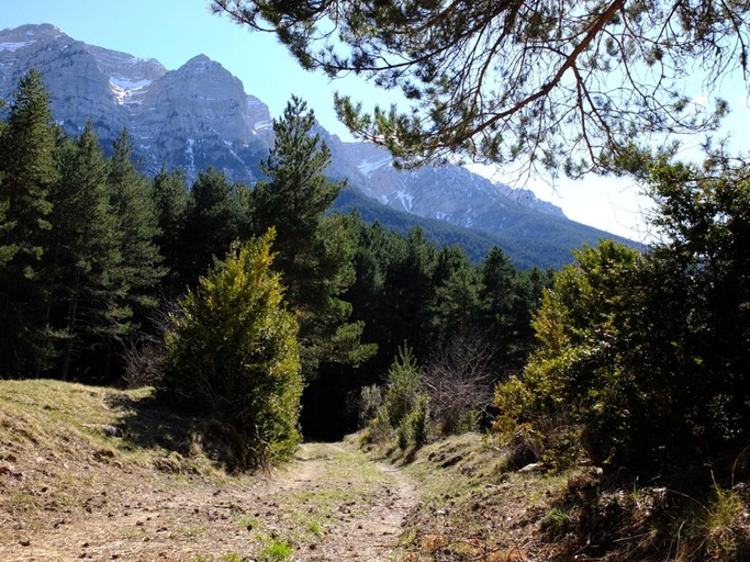 Others 4, Cal Sansa, Lleida