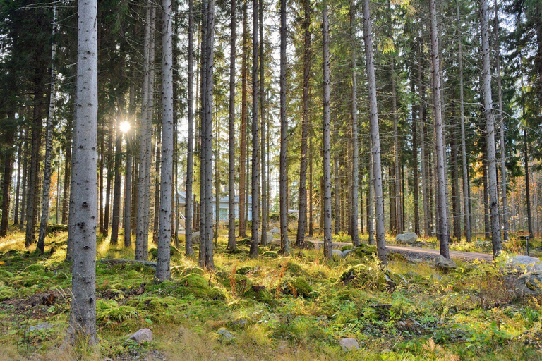 Others 5, ONNI Village, South Karelia
