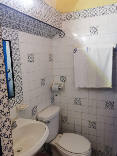 Bathroom 3, HOTEL LIMON, Coatepec