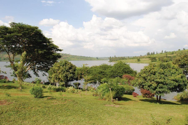 Others 5, La Lumiere De Madeleine, Rwamagana