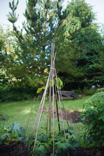 Others 4, Epiphany House, Cornwall