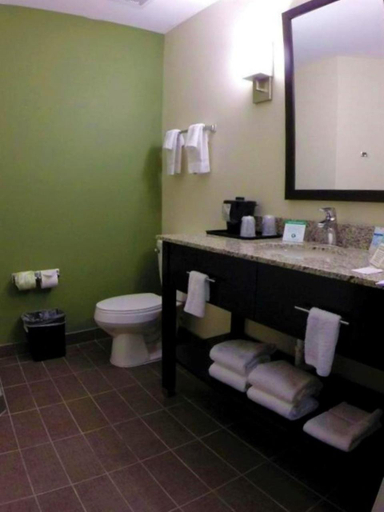 Bathroom 4, Sleep Inn & Suites Mount Olive North, Wayne
