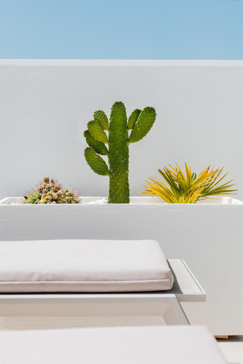 Bedroom 3, Villa Deluxe Suites Maspalomas, Las Palmas
