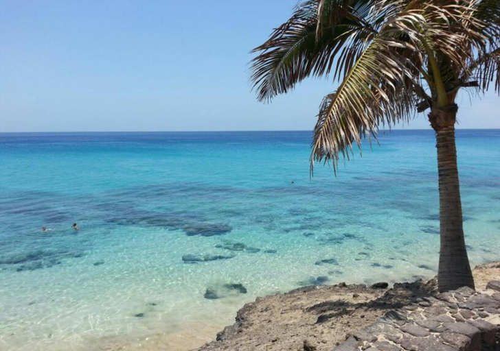 Others 2, Your Ocean Window, Las Palmas