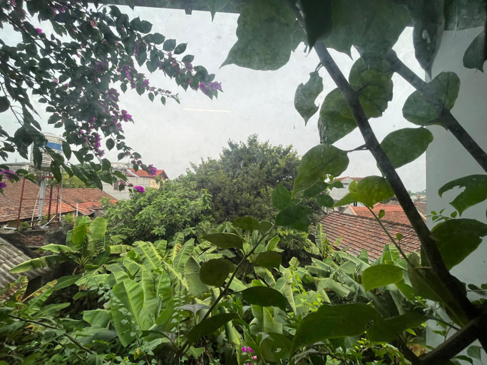 Others 4, Asahi Luxstay - Homestay Đuong Lam Hostel, Sơn Tây
