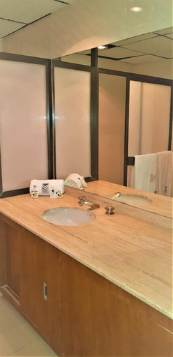Bathroom 2, Hotel Finisterre, Mexico City