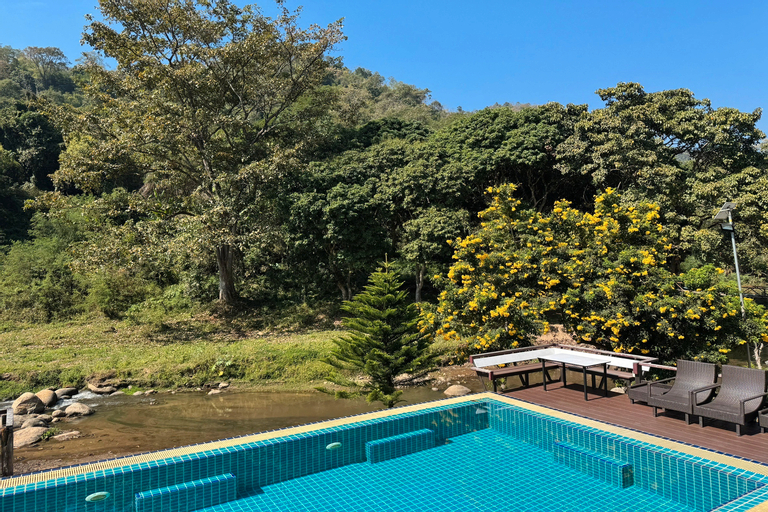 Swimming Pool 2