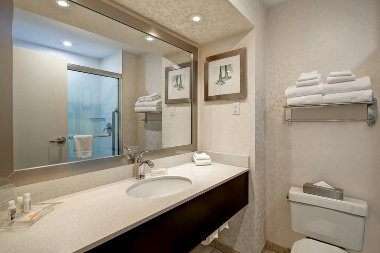 Bathroom 5, Holiday Inn & Suites WINDSOR (AMBASSADOR BRIDGE) by IHG, Essex