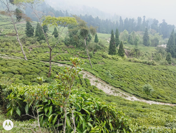 Others 4, Meera Homestay , Darjiling