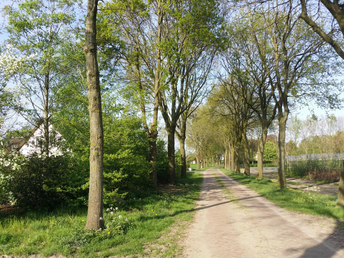 Others 2, Guesthouse Rijsbergen_Zundert, Zundert