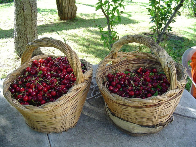 Agriturismo Sorripe, Grosseto