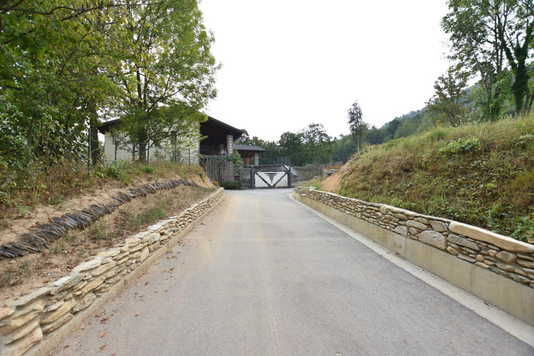 Others 5, Alpuntogiusto, Cuneo