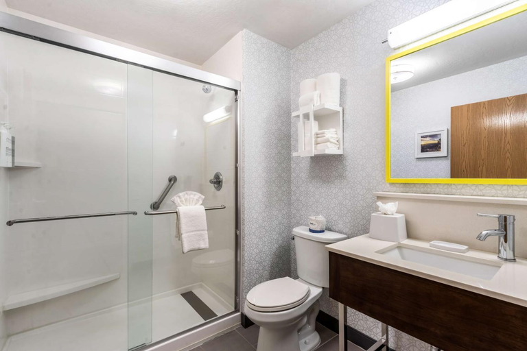 Bathroom 4, Hampton Inn & Suites Phoenix/Goodyear, Maricopa