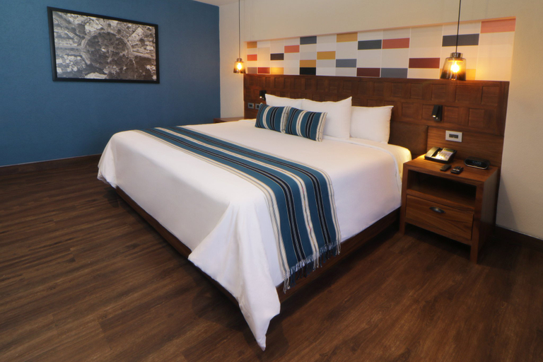 Hotel Indigo Guadalajara Expo by IHG Room Type - One-Bedroom King Suite