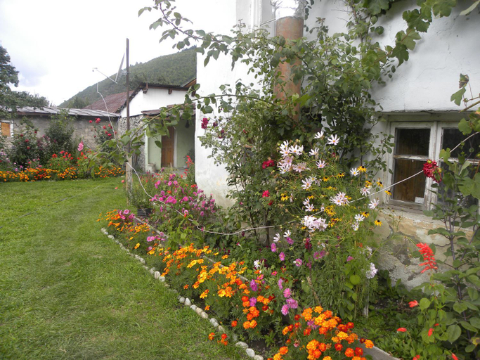 Others 5, Jimsher Naveriani Guesthouse, Mestia