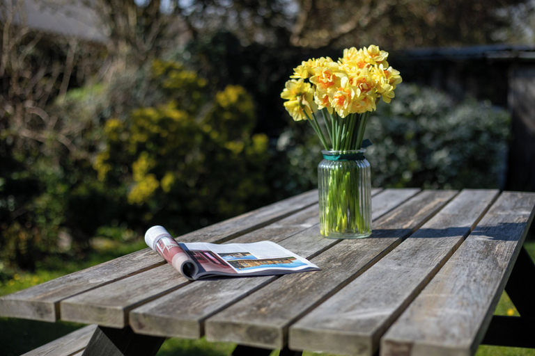 Food & Drinks 5, Sylvie's Country Cottage, Devon