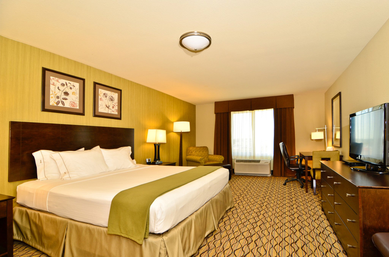 Holiday Inn Express & Suites WILLISTON Room Type - 1 King Bed Standard Comm Accessible