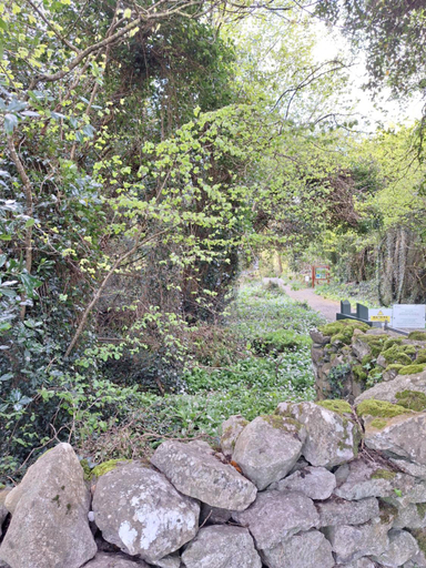 Others 3, Ard Aoibhinn Roscommon Bed & Breakfast