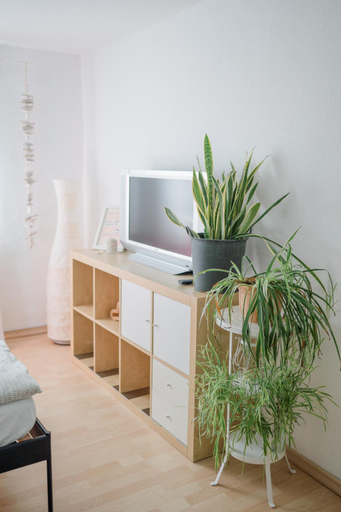 Others 2, BUCHLINDENWEG - Zimmer & Ferienwohnung, Lahn-Dill-Kreis