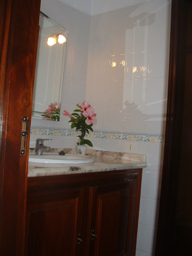 Bathroom 3, Casa los Viñedos, Santa Cruz de Tenerife
