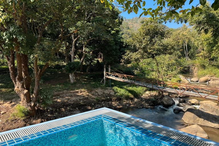 Swimming Pool 3