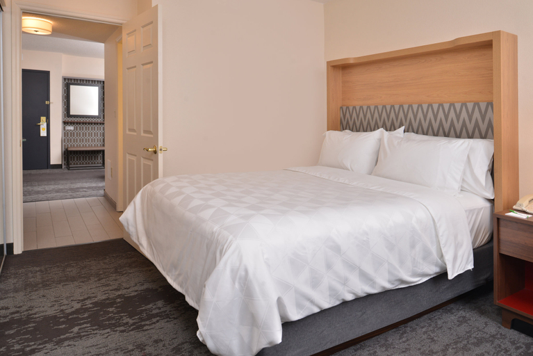 Holiday Inn & Suites RALEIGH-CARY (I-40 @WALNUT ST) Room Type - 1 King Bed One Bedroom Suite