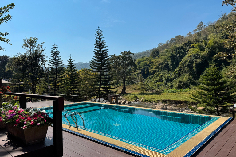 Swimming Pool 4