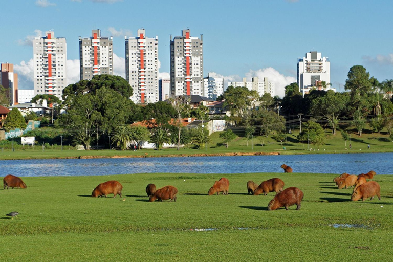 Others 3, Estudio One Ecovile | Vista Espetacular | Gonzaga Stays, Curitiba