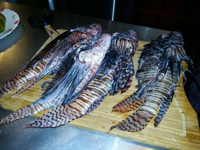 Food & Drinks 3, Les Pimentiers de Papaye, Saint-Claude