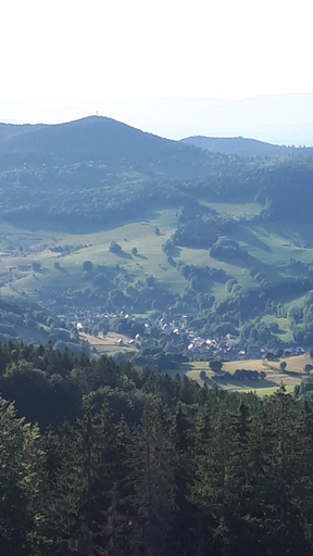 Others 3, Les o welches cote lac, Haut-Rhin