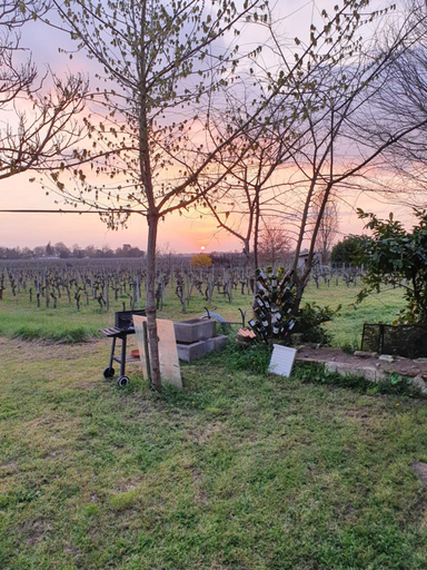 Others 2, 299 Bigaroux, Gironde
