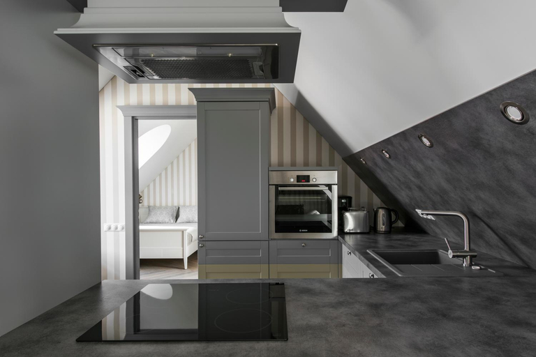 Others 3, City Entrance Apartment, Vilniaus