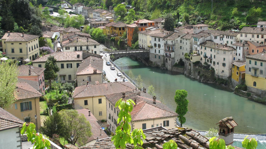 Ulivo Della Querce, Florence